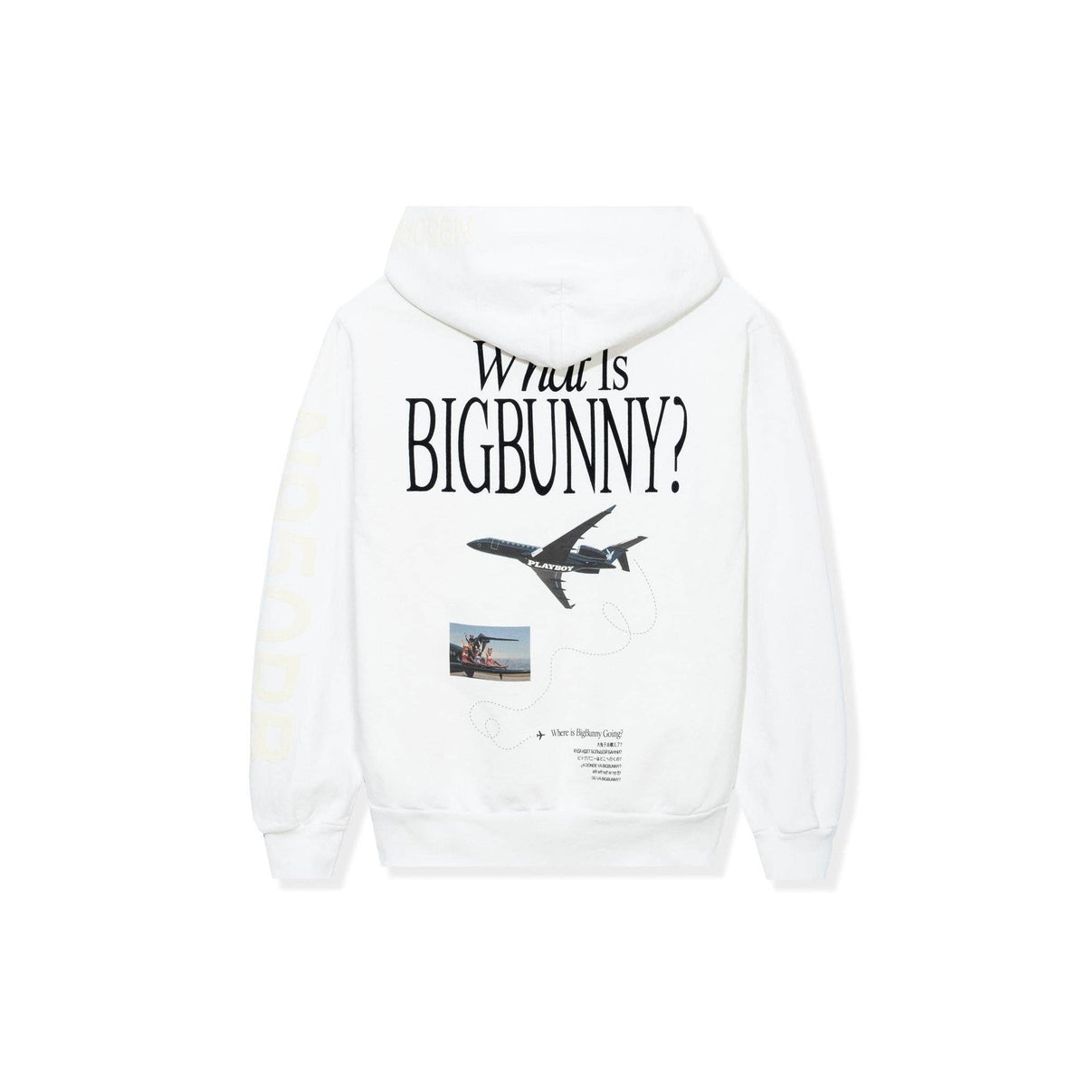 PLAYBOY Aviation Wings N950PB Hoodie