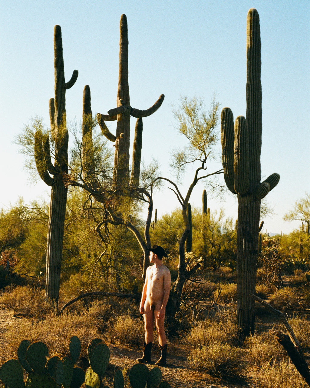 Michael Saling, Man in the desert #5, 2025