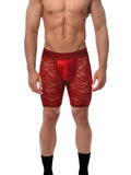 Menagerie Intimates Midway Brief Red Rose