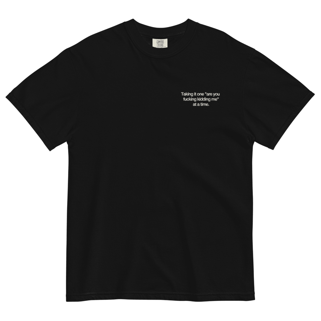 Taking It One "Are You Fucking Kidding Me" At A Time Shirt