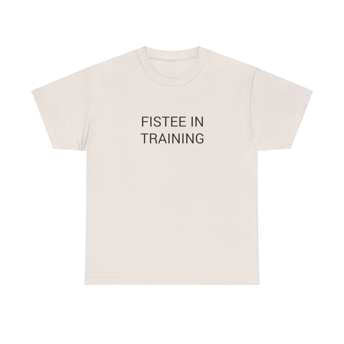 FISTEE IN TRAINING TEE BY CULTUREEDIT AVAILABLE IN 13 COLORS