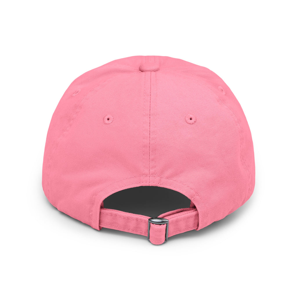 69 Distressed Cap in 6 colors