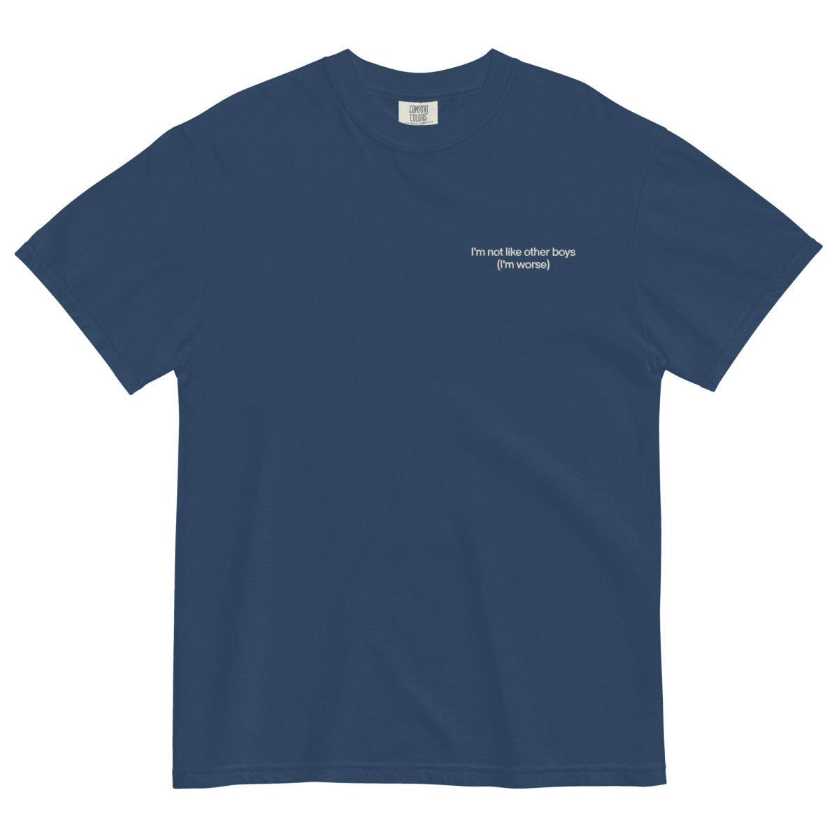 I'm Not Like the Other Boys Embroidered Shirt