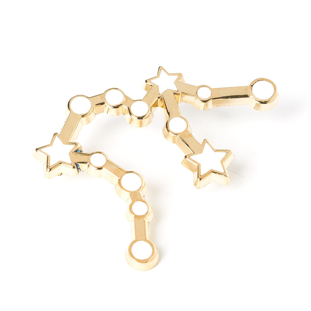 Constellations Aquarius Pin