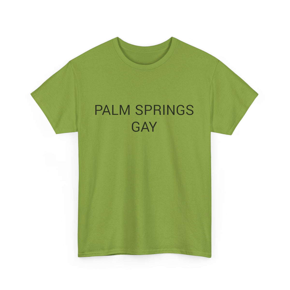 PALM SPRINGS GAY TEE BY CULTUREEDIT AVAILABLE IN 13 COLORS