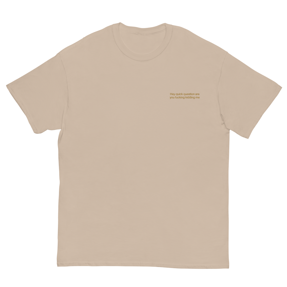Hey Quick Question Are You Fucking Kidding Me Embroidered T-Shirt