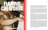 CRUISING: Gay Matchbooks interior spread