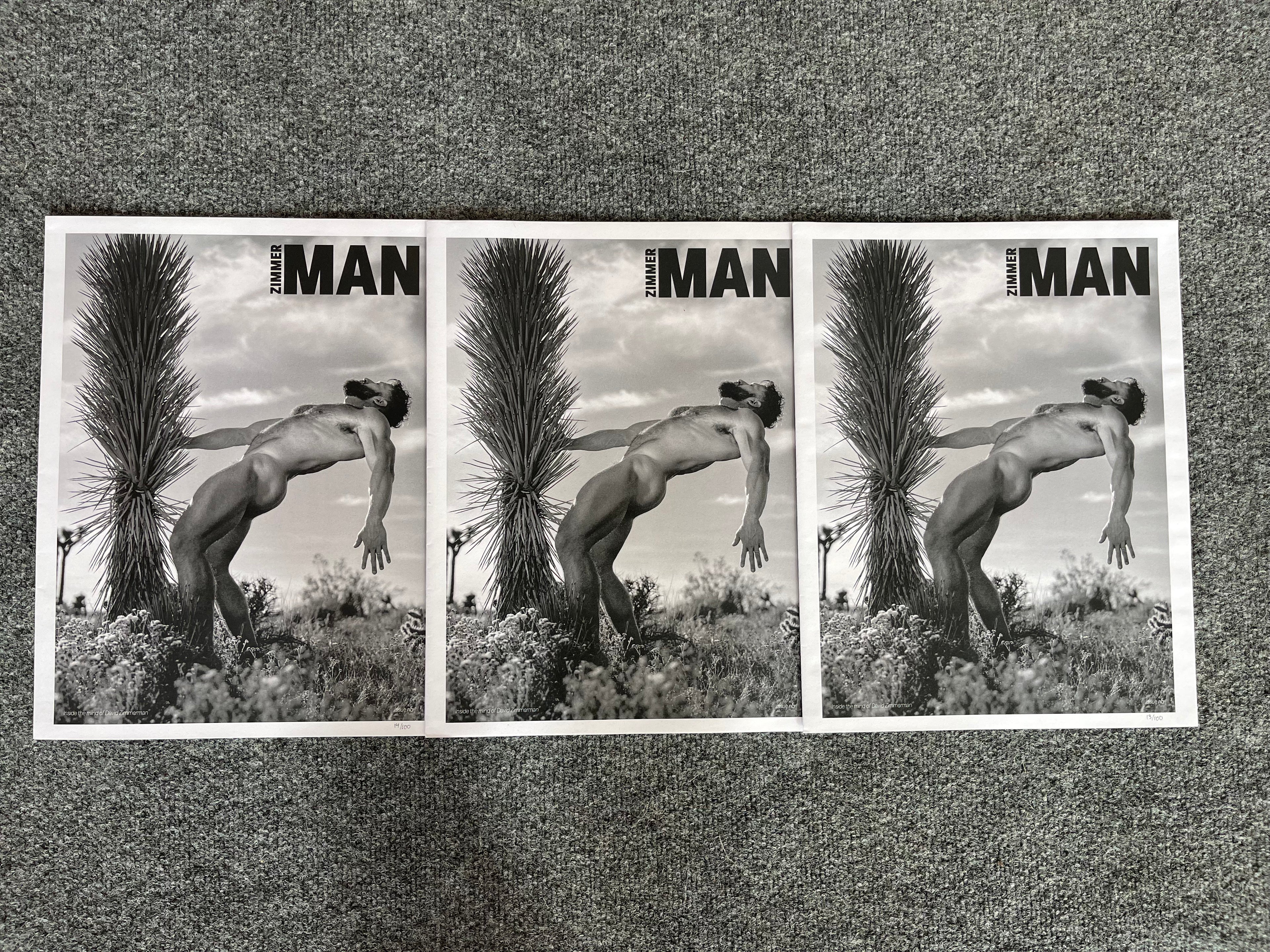 ZIMMER MAN POSTER ZINE BY DAVID ZIMMERMAN