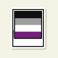 Asexual Pride Sticker
