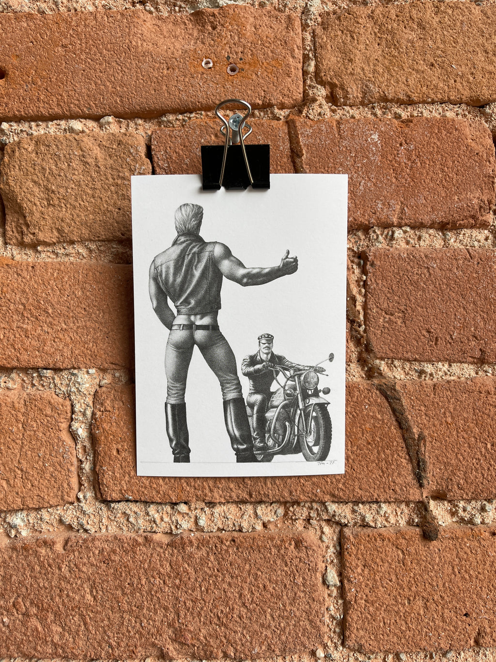 Hitchhiker - Tom of Finland Postcard