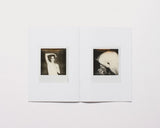 002 by Abi Perkin