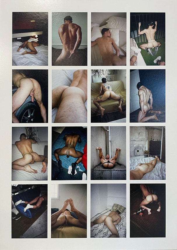Gaëtan Dubroca, Asses (from vertigo series), 2020-2024