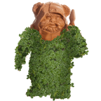 EWOK CHIA PET