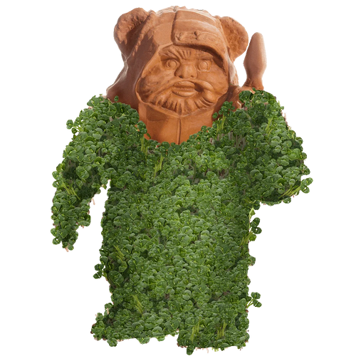 EWOK CHIA PET