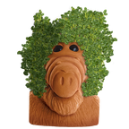 ALF CHIA PET
