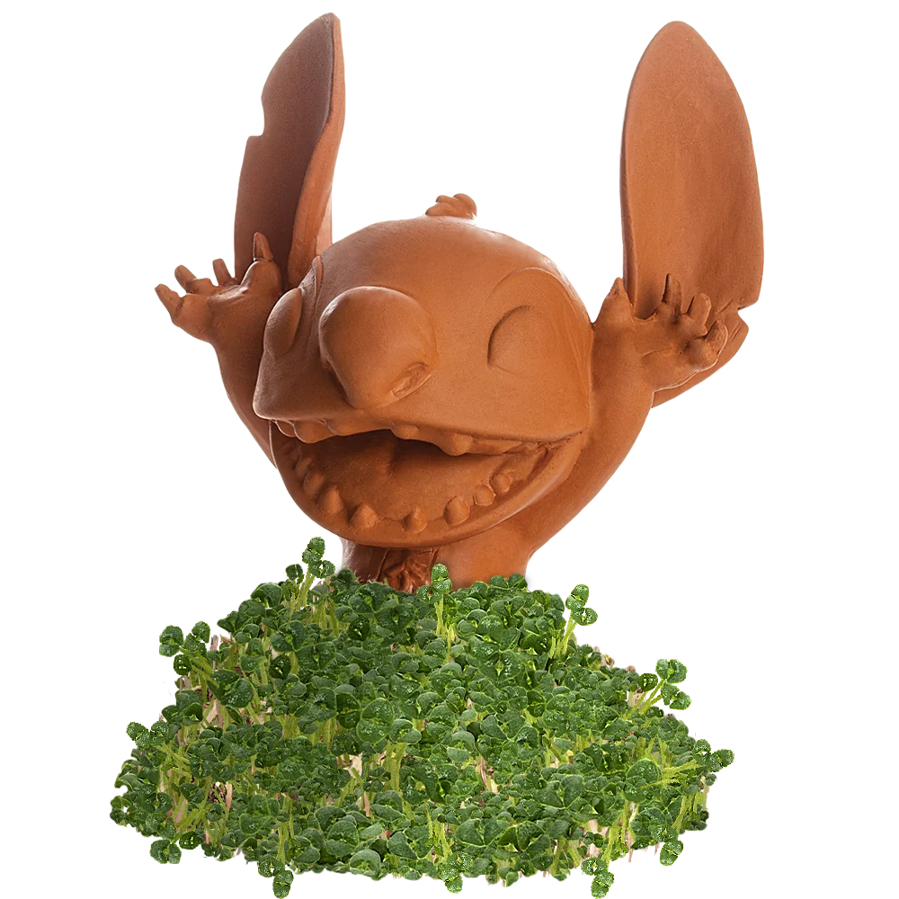 STITCH CHIA PET (LILO & STITCH)