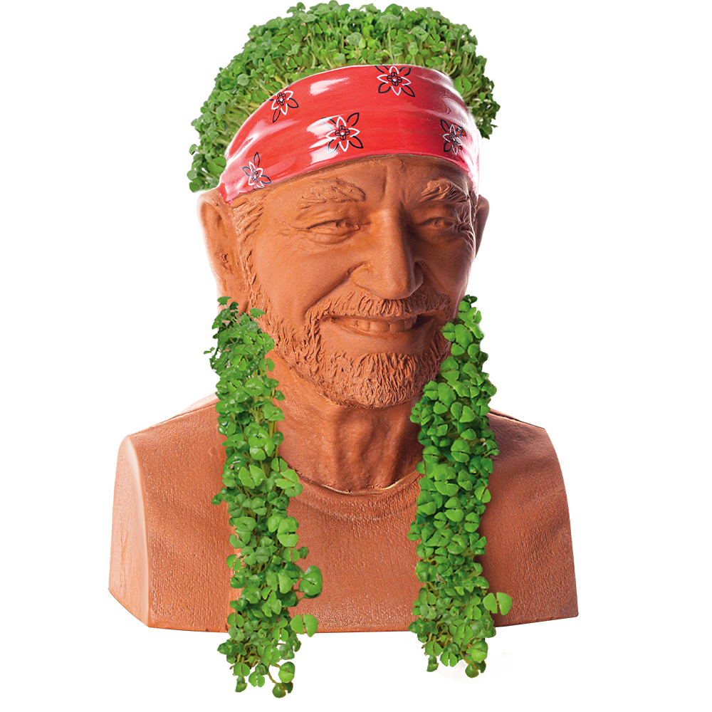 WILLIE NELSON CHIA PET