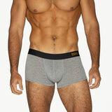 BIKE Active Trunk - Gray