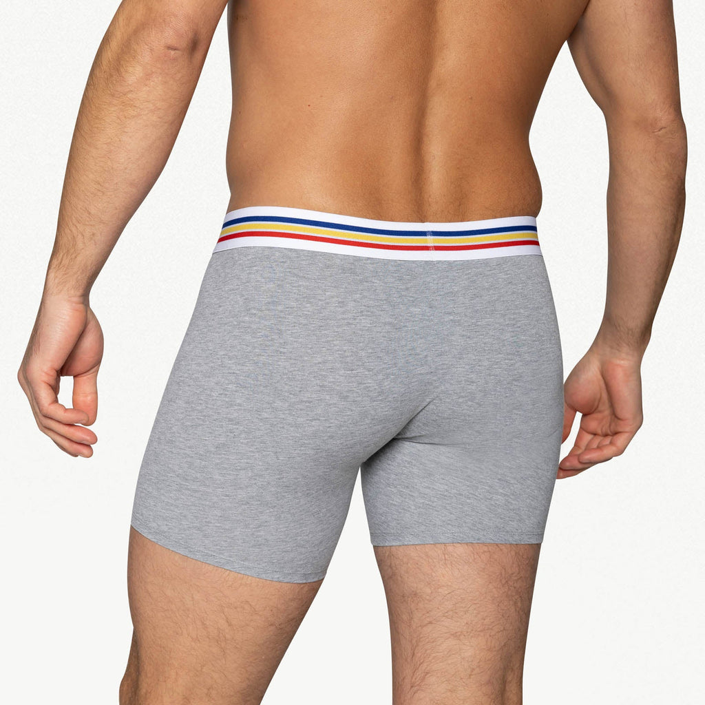 BIKE Stretch Cotton Boxer Brief - Gray