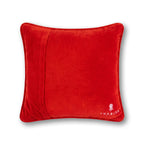 Boo Needlepoint Pillow