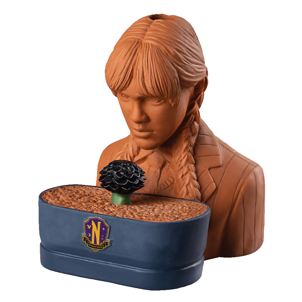 WEDNESDAY CHIA PET