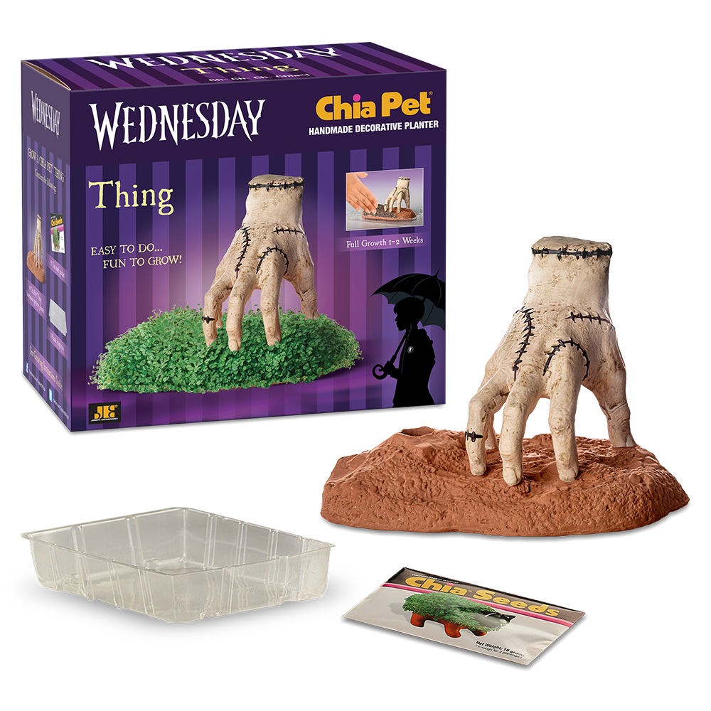 THING CHIA PET