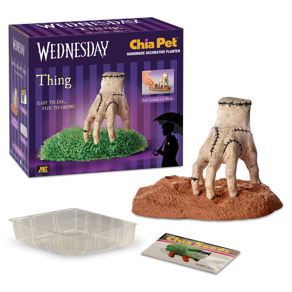THING CHIA PET