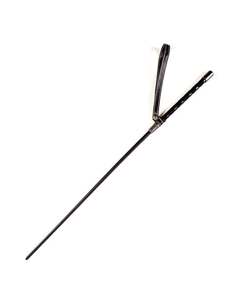 Sei Mio Sharp Reminder Flexible Correction Cane