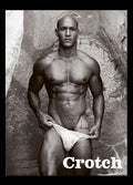 CROTCH 14 GREG COVER
