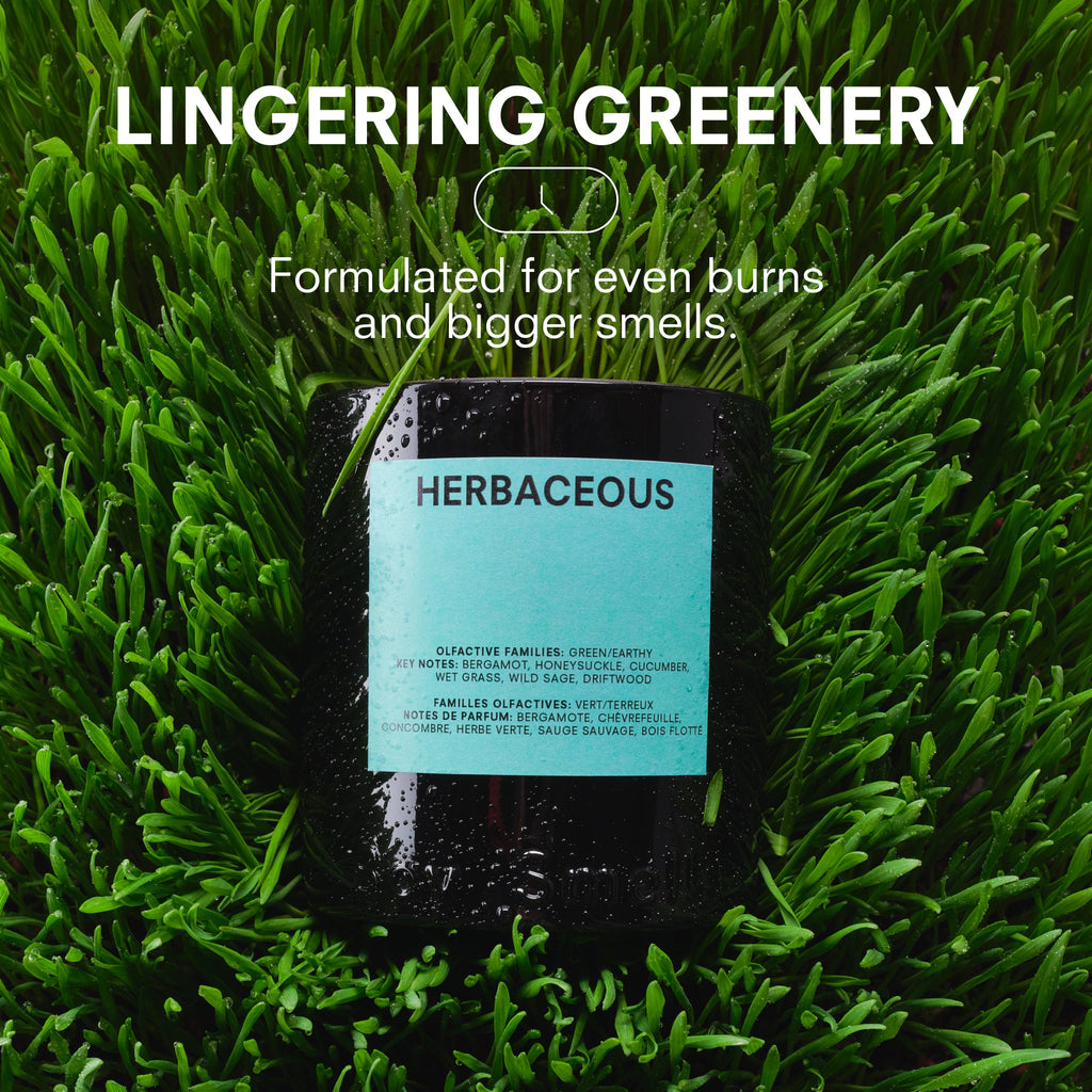 HERBACEOUS by BOY SMELLS