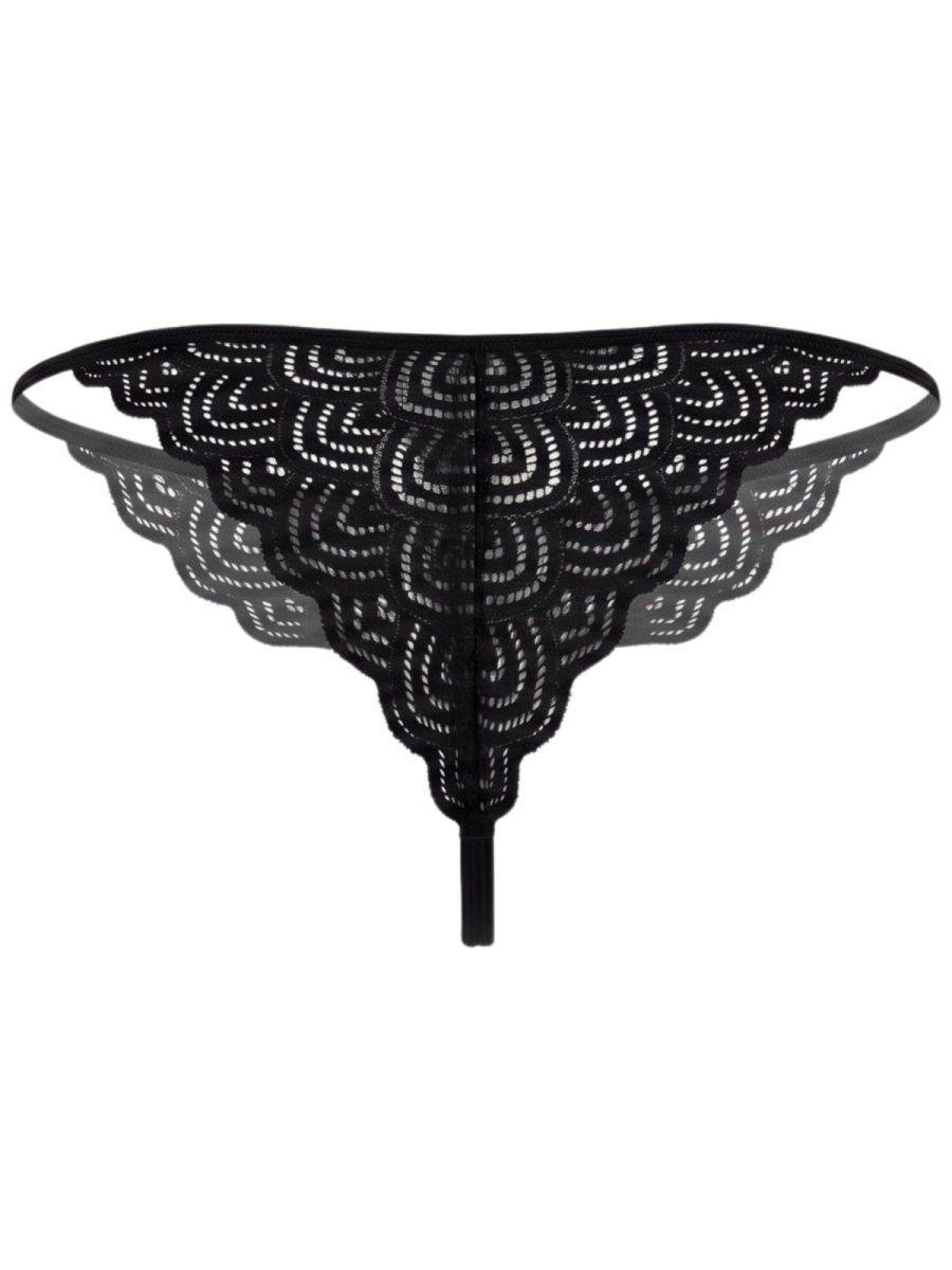 CandyMan Seductive Lace Briefs - Black