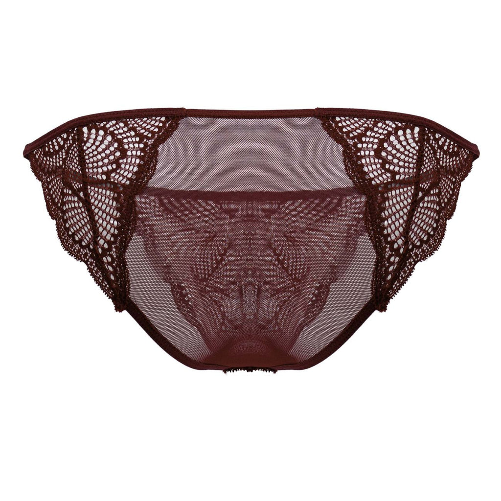CandyMan Lace Briefs - Burgundy