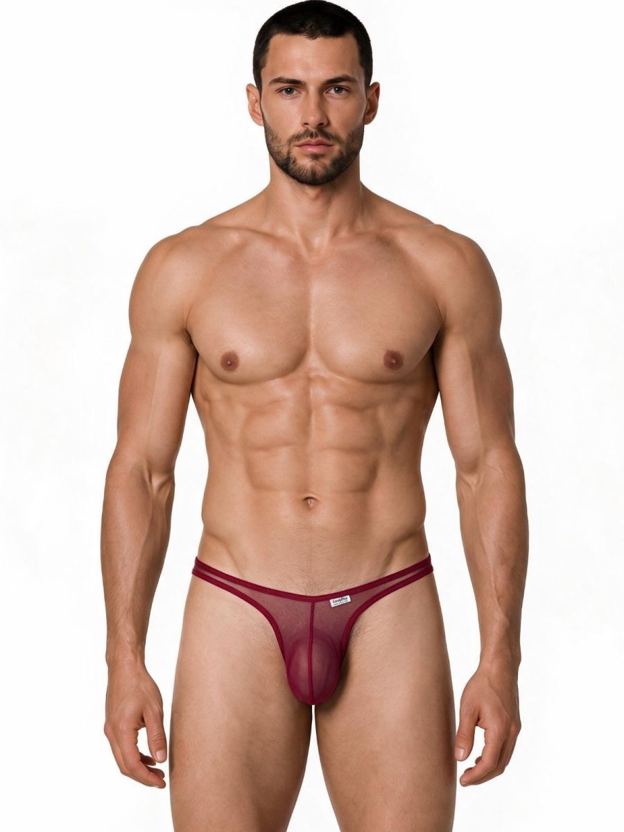 CandyMan Sheer Mesh Thongs - Burgundy Mesh
