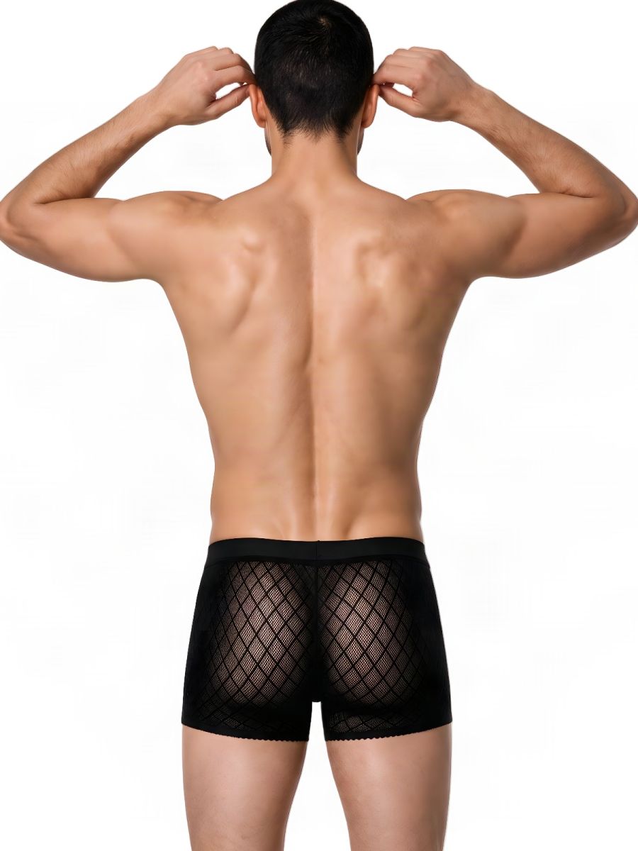 CandyMan Sheer Geometric Mesh Boxer Briefs - Black