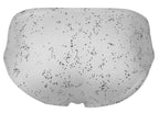 Clever Moda Galaxy Briefs - White