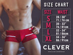 Clever Moda Australian Latin Briefs - Black