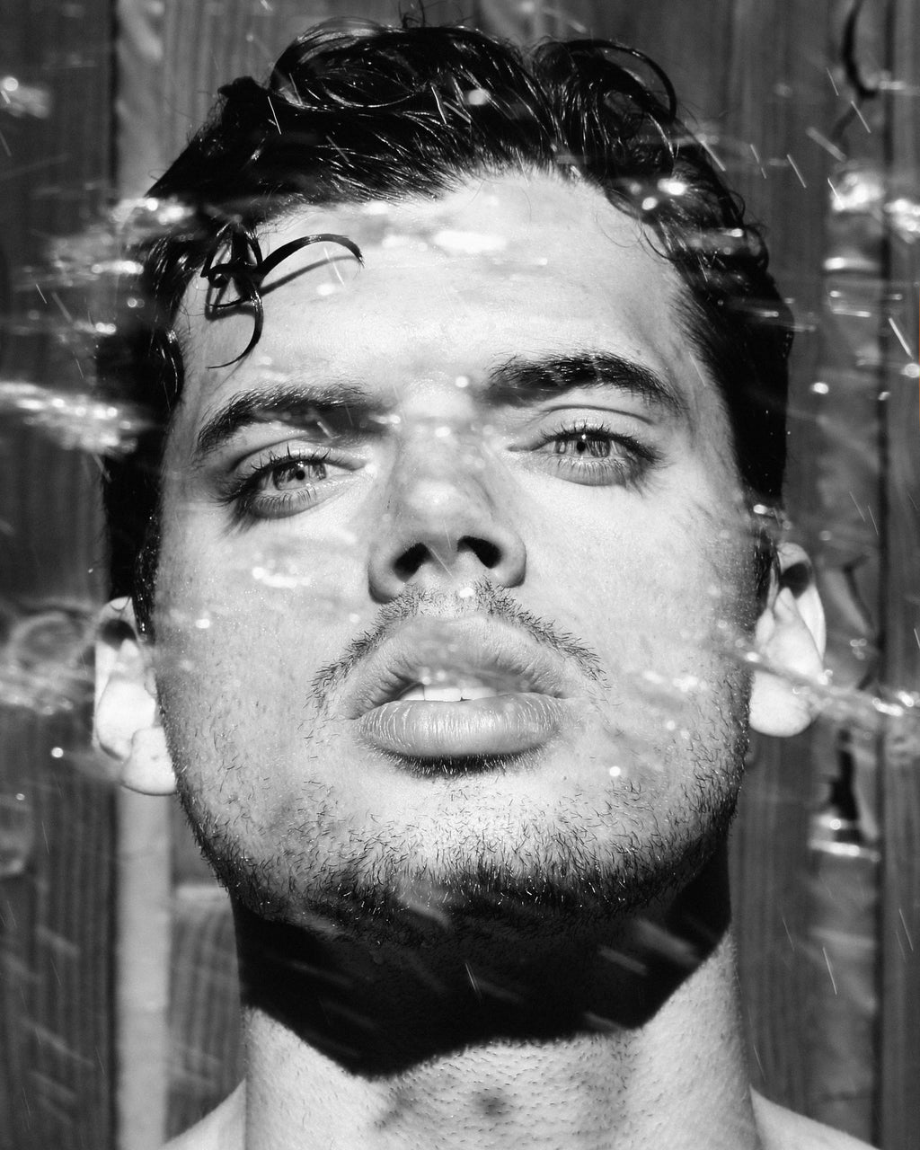 Josef Jasso, Hosed Down II (Portrait), 2014