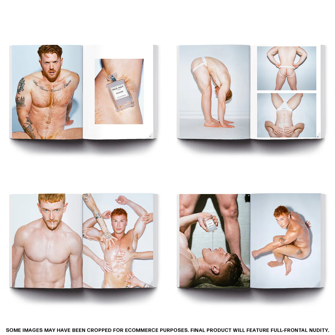 The Red Hot Desire Art Book