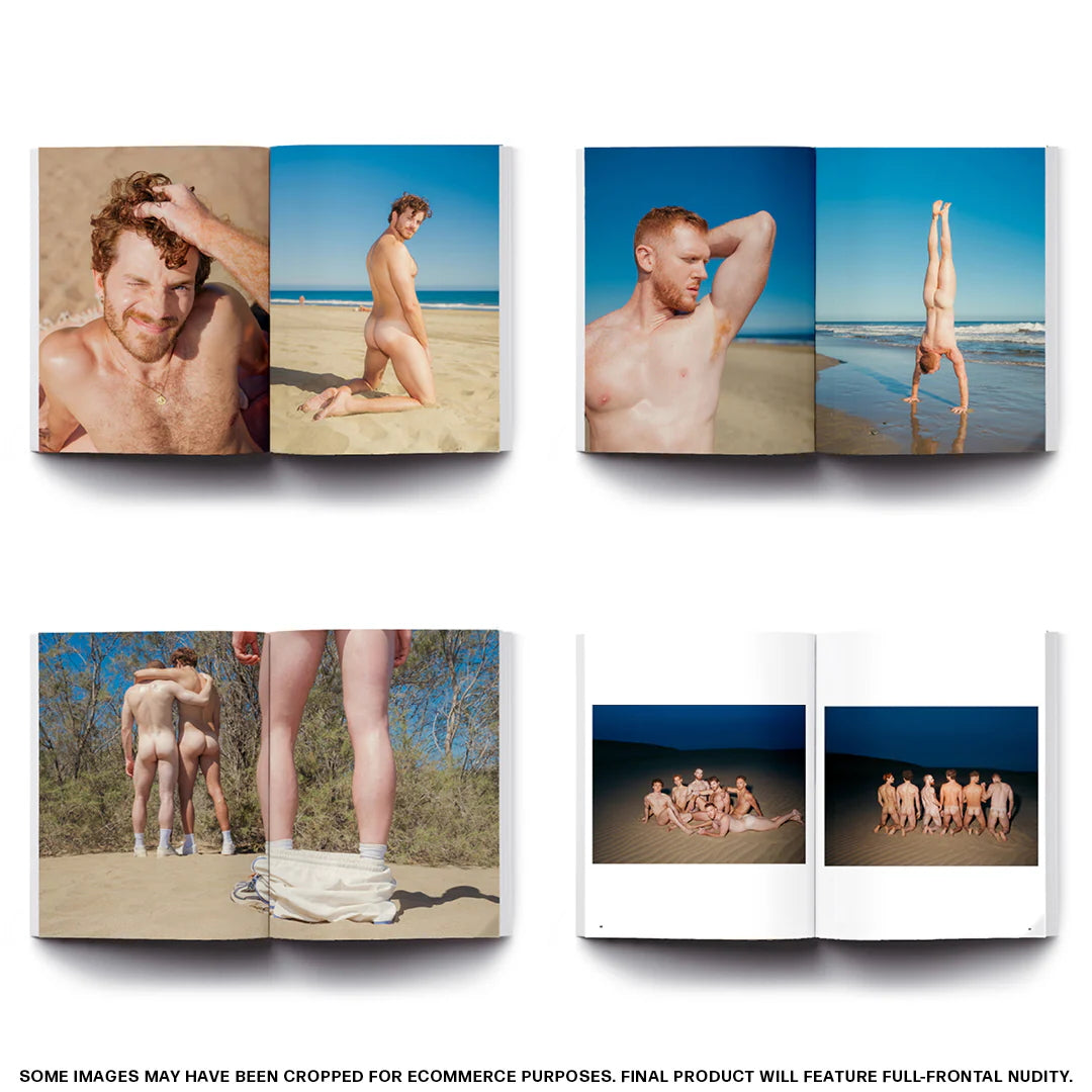 The Red Hot Desire Art Book
