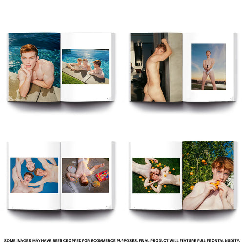 The Red Hot Desire Art Book