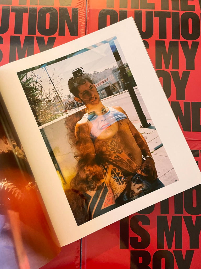 Bruce LaBruce - The Revolution Is My Boyfriend