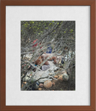 Daniel Case, Soft Branches, 2023