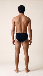 Essential Brief