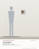 Flick Webster, let's play, 2025