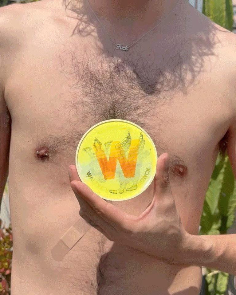Crown Lenticular Button by Walter Van Beirendonck