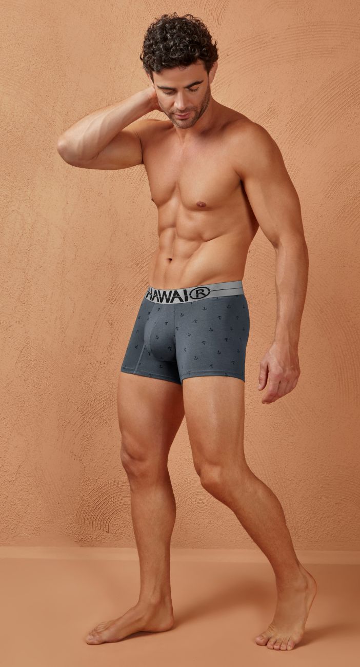 HAWAIR Cotton blend Anchor Print Trunks - Gray