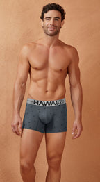 HAWAIR Cotton blend Anchor Print Trunks - Gray