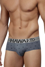 HAWAIR Cotton blend Briefs - Gray