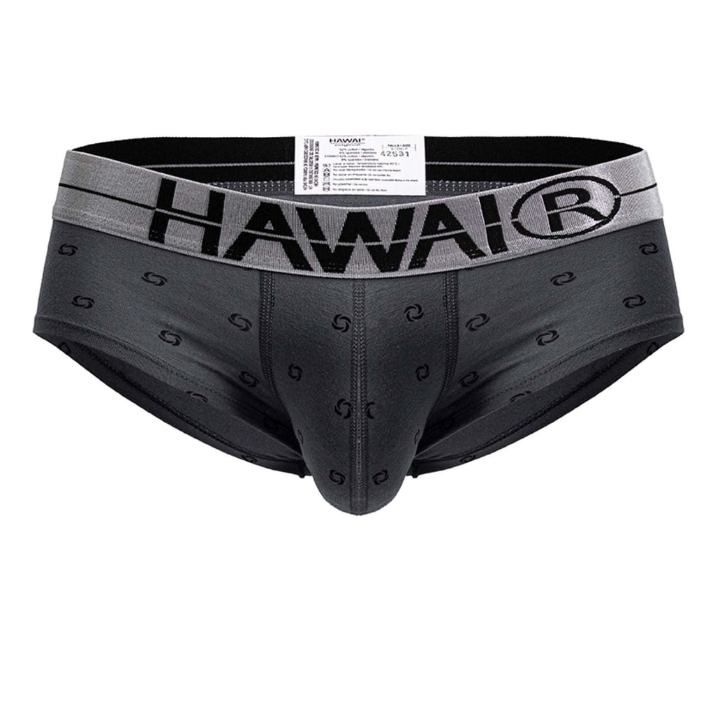 HAWAIR Cotton blend Briefs - Gray