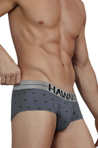 HAWAIR Cotton blend Briefs - Gray